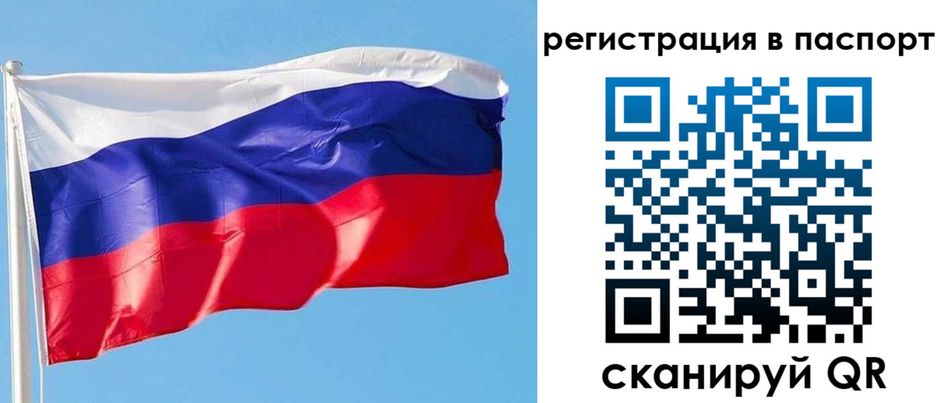 прописка законно в Бийске