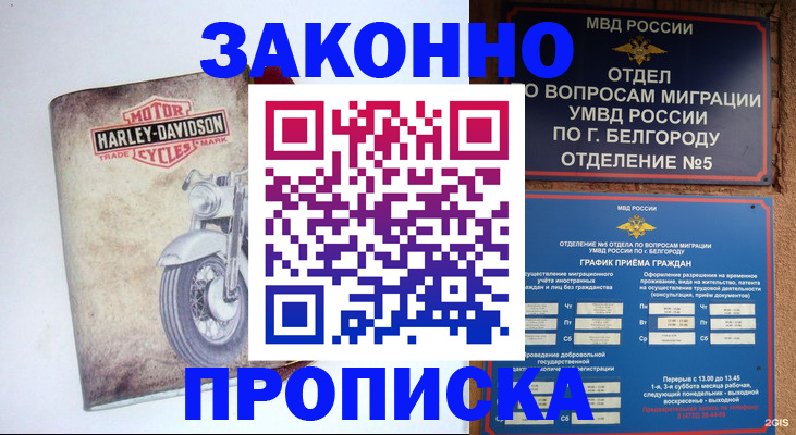 прописка для школы в Бийске